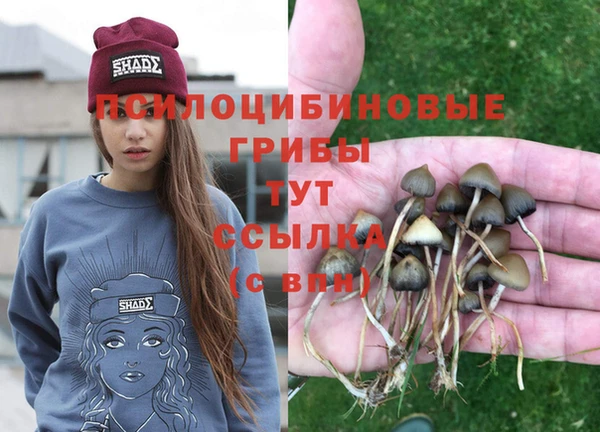 COCAINE Алексеевка
