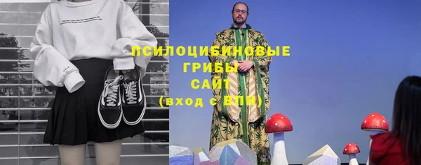 ECSTASY Алзамай