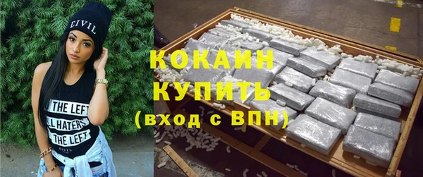 ECSTASY Алзамай