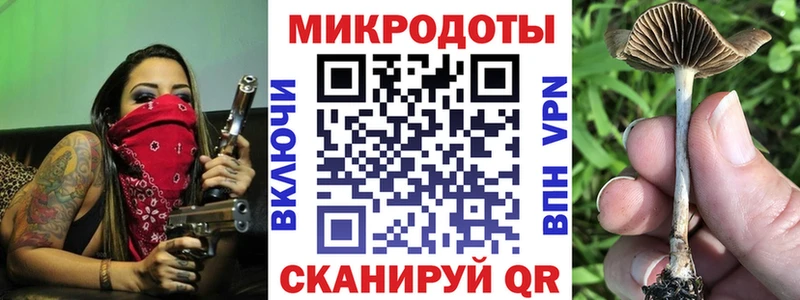 Псилоцибиновые грибы Psilocybine cubensis  Завитинск 